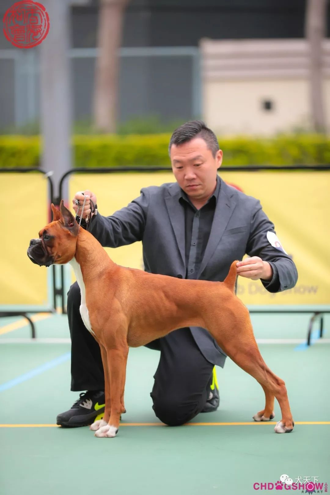 创造传奇！足球赛事再掀高潮