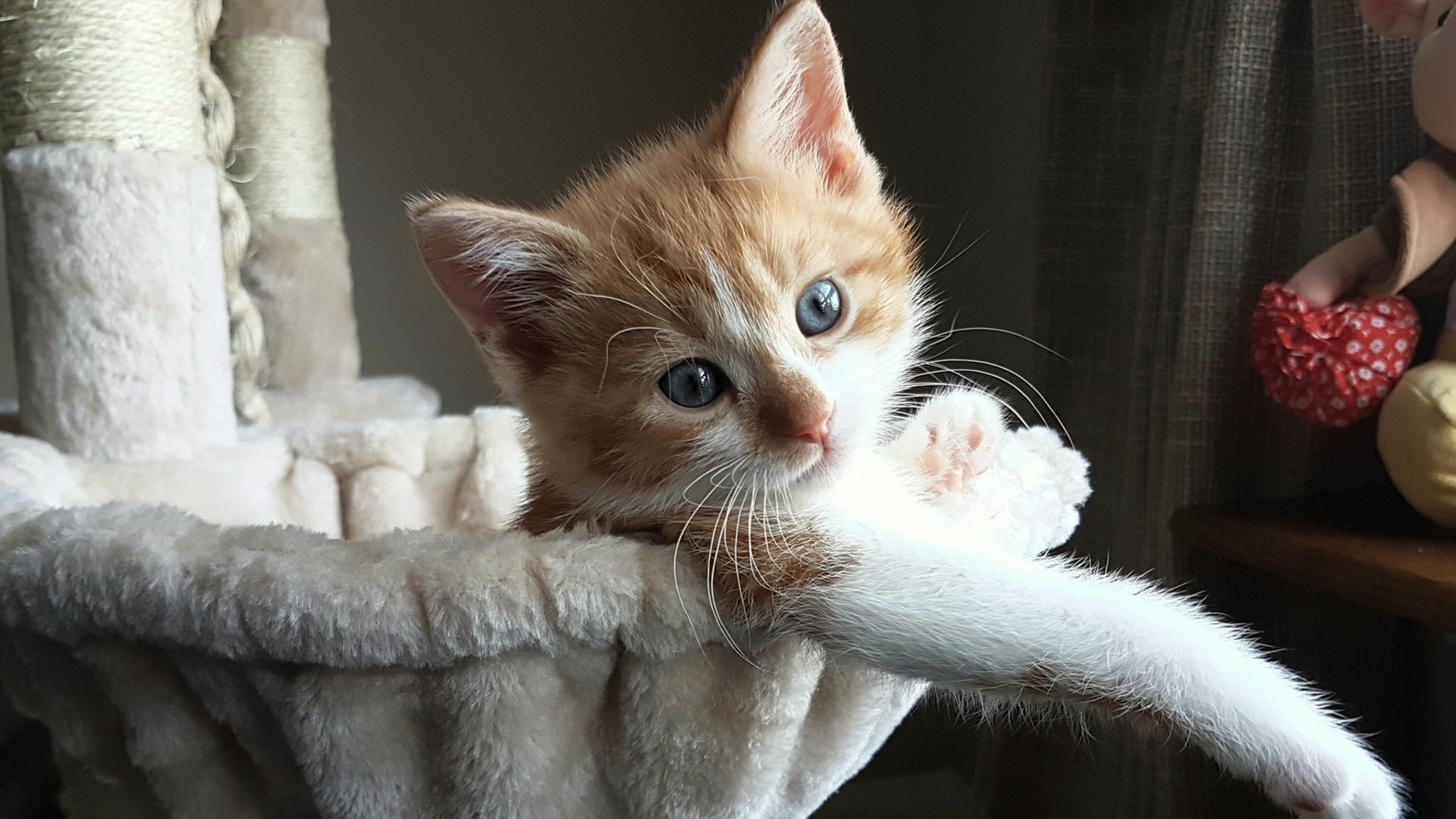 篮网决胜局惊魂夜,杜兰特死神镰刀收割,布鲁克林抢七绝境带走马刺