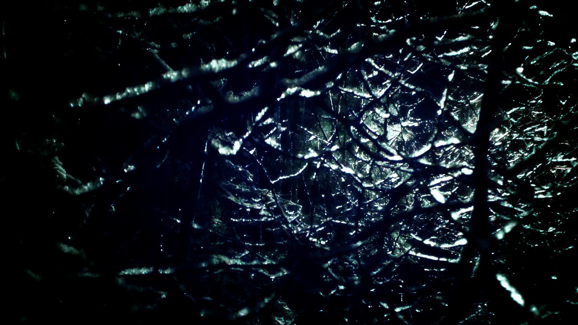 公牛强行终结新疆队，杰伦格林成为关键先生