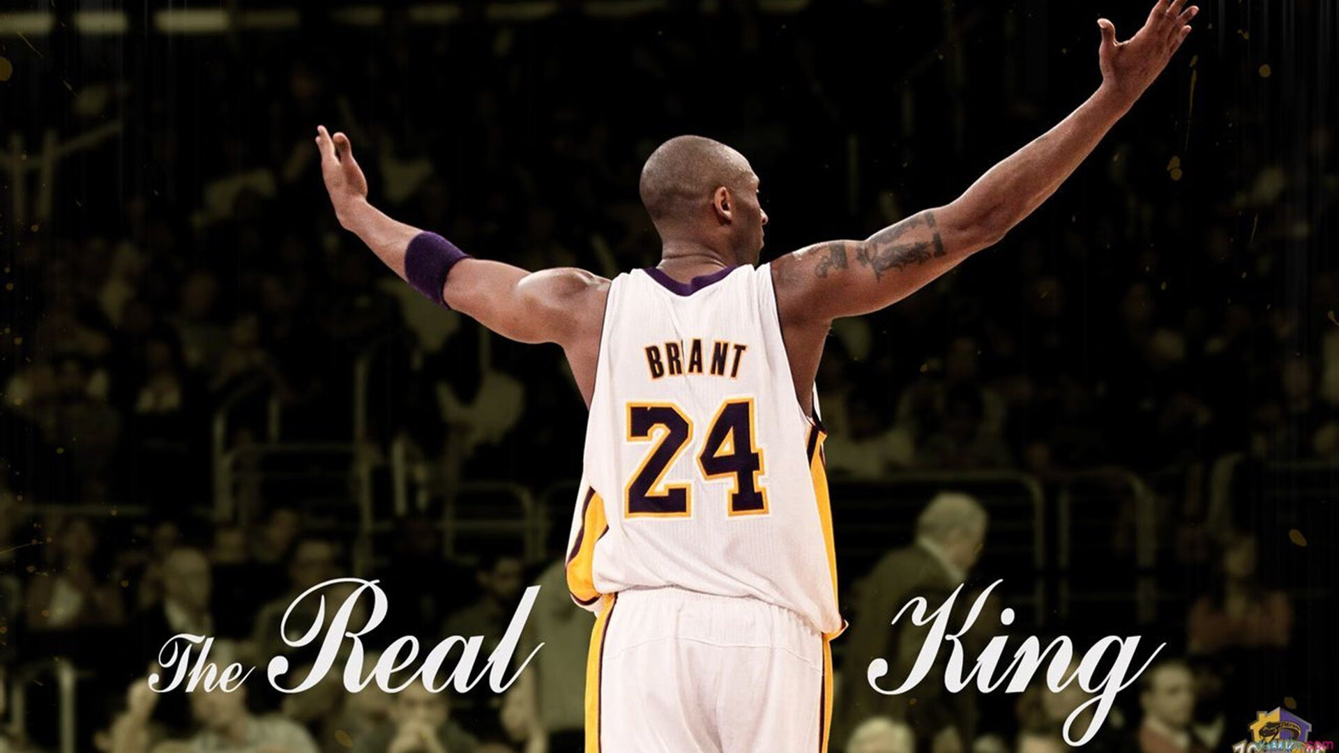 2026世界杯之夜，金玟哉的防守艺术，一堂现代中卫的教科书